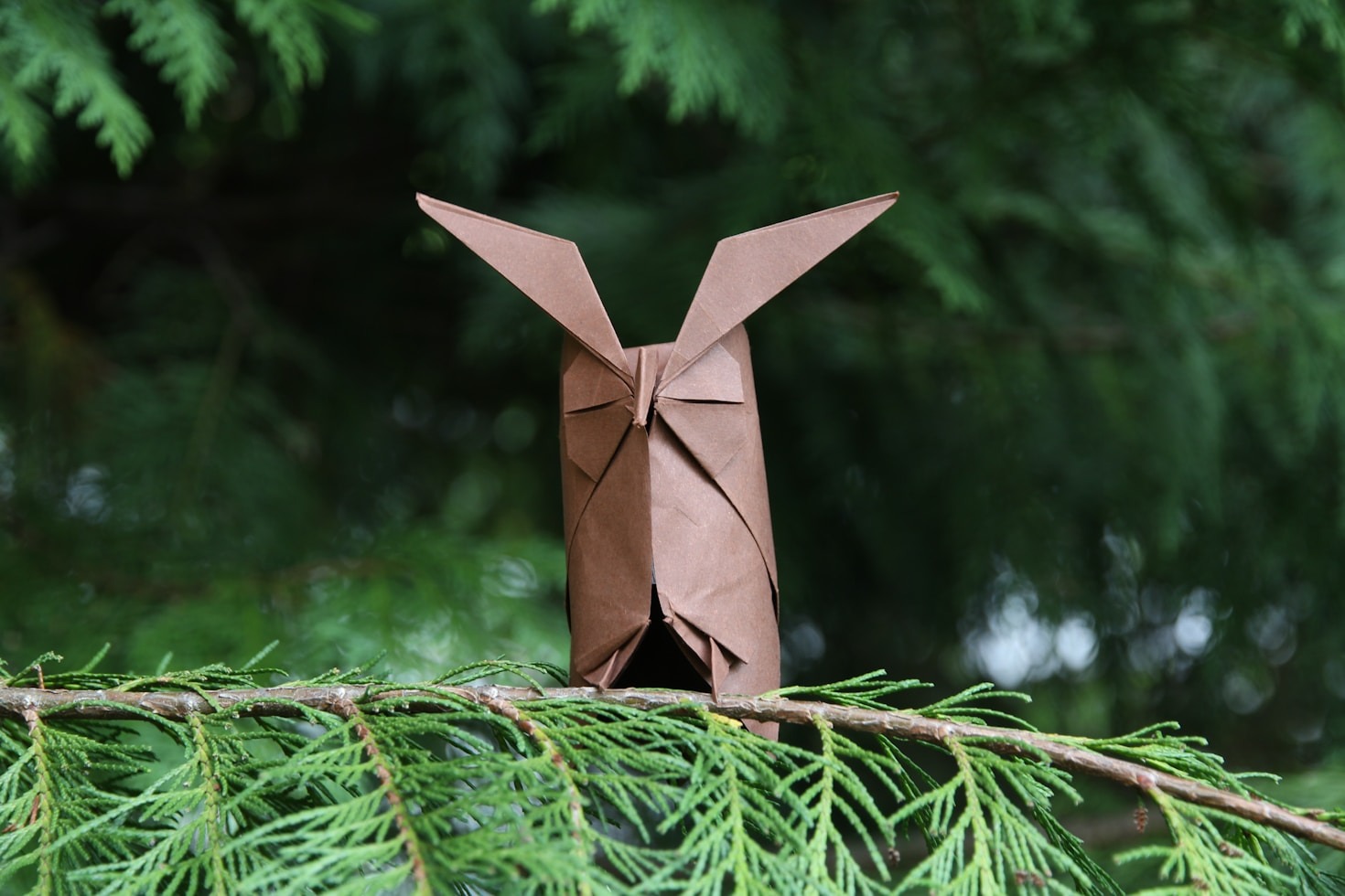 Behind the Scenes: Building Intricate Paper Models
